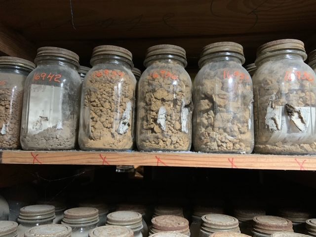 Crop sciences